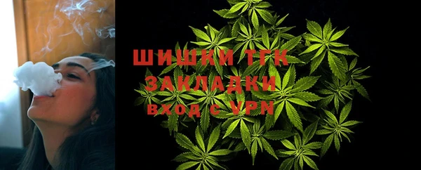 стаф Бежецк