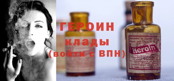 прущие грибы Бородино