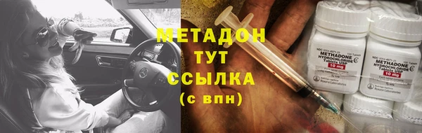 прущие грибы Богданович