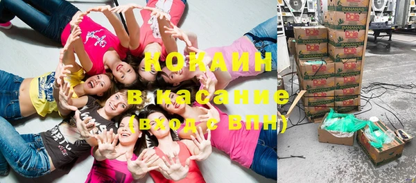 крисы Богородицк