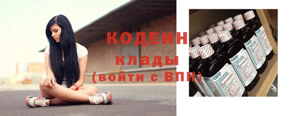 прущие грибы Бородино