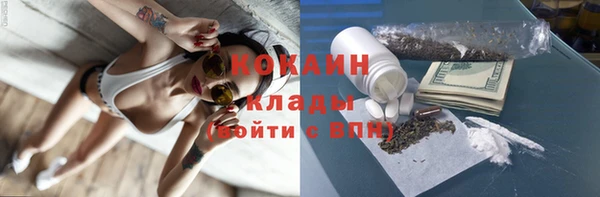 крисы Богородицк