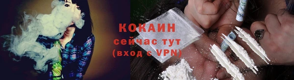 крисы Богородицк
