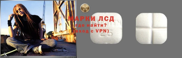 прущие грибы Богданович