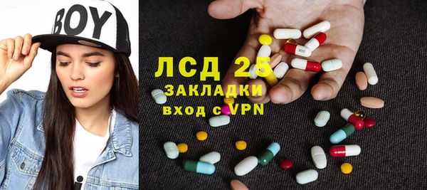 крисы Богородицк