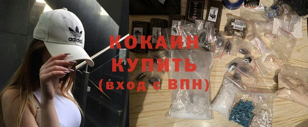 крисы Богородицк