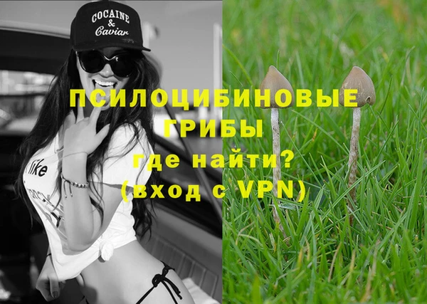 наркотики Богородск