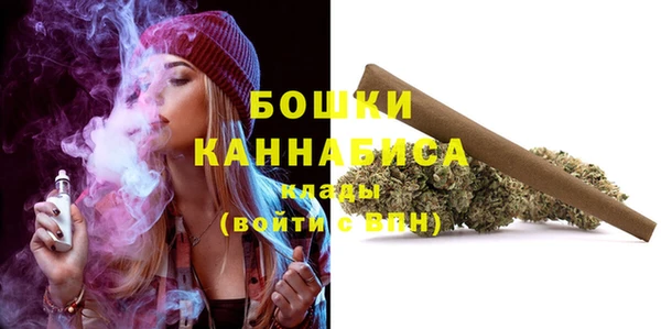 прущие грибы Балахна