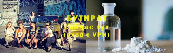 прущие грибы Богданович