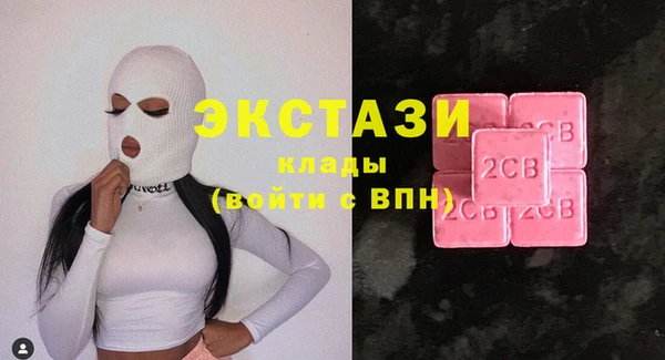 прущие грибы Бородино