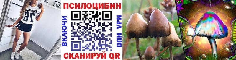 Псилоцибиновые грибы ЛСД  где купить   Вуктыл 
