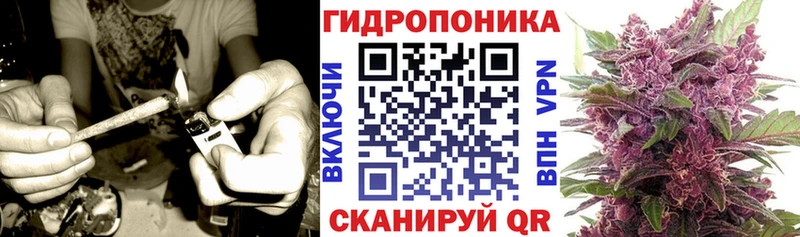 где можно купить наркотик Вуктыл Бошки марихуана гибрид